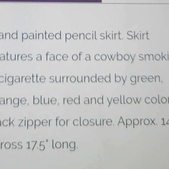 One of a kind handpainted cowboy on skirt - Picture 4 of 9